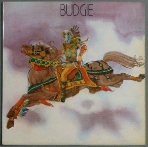 budgie-vinyl
